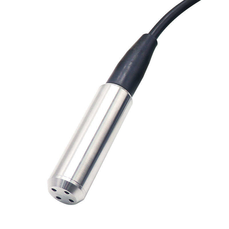 0.25%FS/年 安定 水中水位センサー プール用