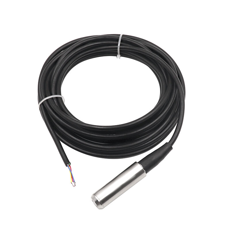 WNK工業グレード 4-20mA SS304/SS316L液体タンクレベルセンサー 水中水処理の0.5%精度