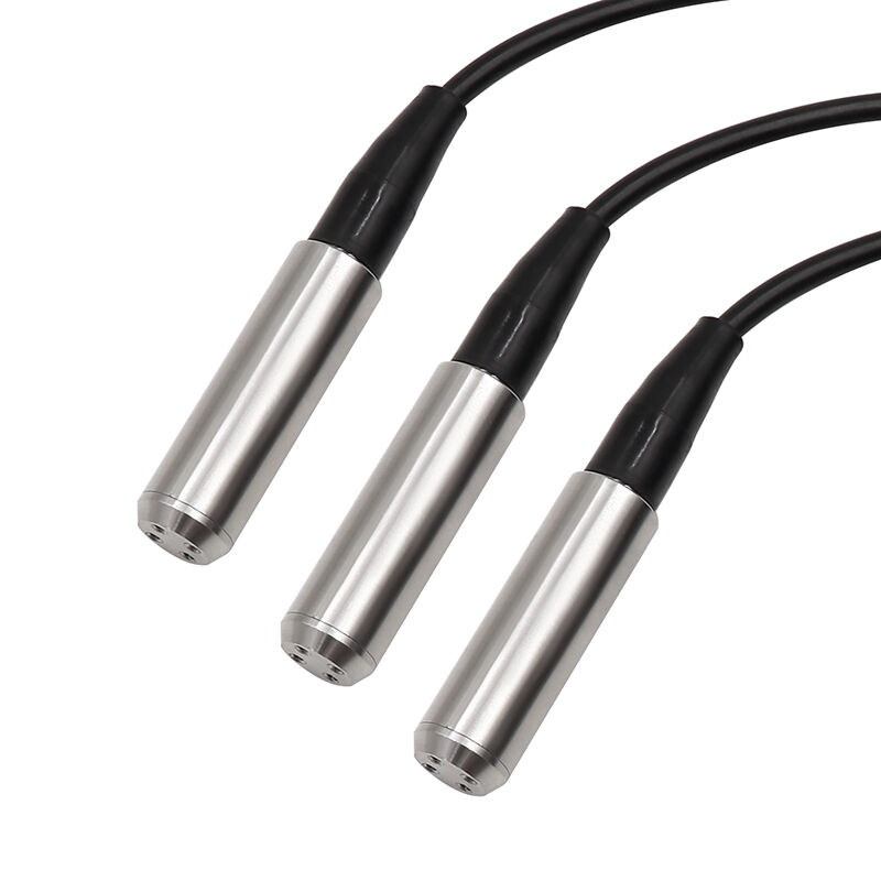 WNK 4~20mA 0-10V RS485 川や湖のためのステンレス鋼水タンクレベルセンサー